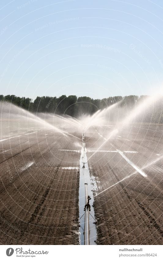 Water march! Irrigation Water pipe Field Arable land Cast Agriculture Edge of the forest Wet Damp Cold Sky Beautiful weather Pipe