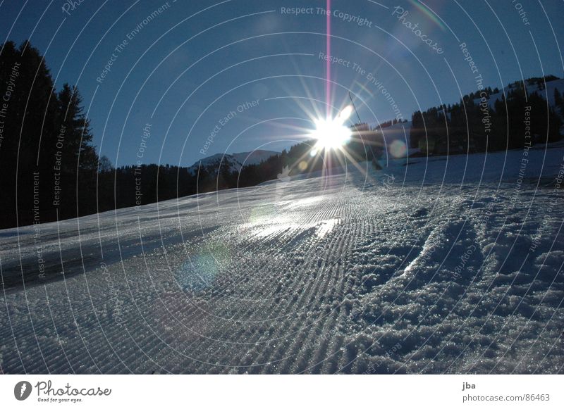 backlight Artificial snow Frozen surface Fresh Morning Edge Light Back-light Sunrise Fir tree Forest Beautiful Winter sports unprocessed the first slope edge