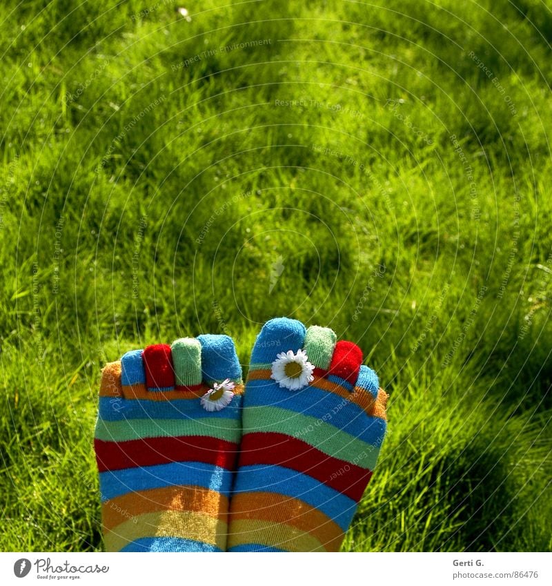 Spring Feet Part ... Stockings Striped socks Multicoloured Daisy Yellow Grass Meadow Toes Spring fever Sunlight Juicy Motion blur Joy Summer toe socks vernally