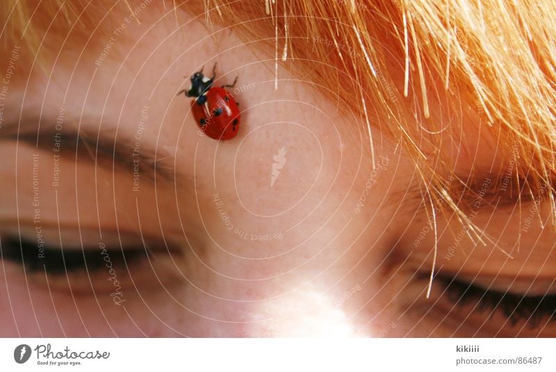 ticklish affair Ladybird Red Black Crawl Blonde Brown Summer Spring Friendship Self portrait Joy pinch Point Titillation Hair and hairstyles Bangs Eyes Sun