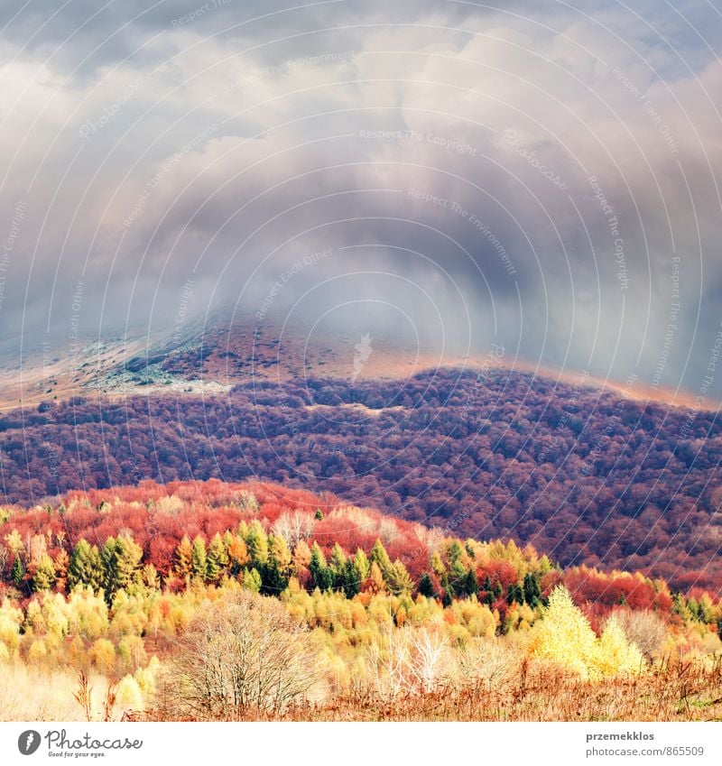 Storm clouds over mountains hill Freedom Mountain Nature Landscape Clouds Autumn Tree Grass Park Meadow Forest Hill Brown Multicoloured Yellow Red background