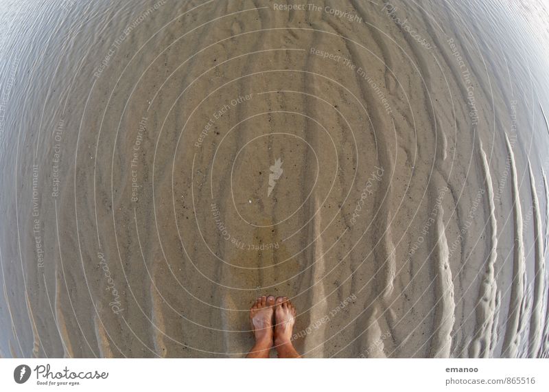 wet feet Joy Vacation & Travel Tourism Freedom Summer Summer vacation Beach Ocean Waves Human being Man Adults Feet 1 Landscape Water Coast Stand Round