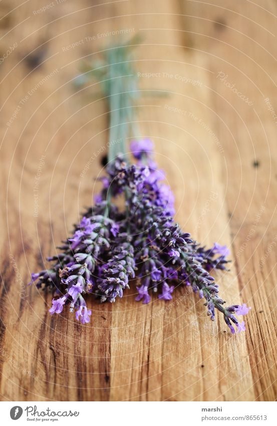 LavenderFragrance Nature Plant Flower Garden Violet Odor Wooden table Rustic Vintage Blossom Summery Gardening Colour photo Interior shot Close-up Detail