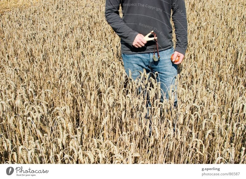 autumn fun Autumn Field Joke Wheat Joy Playing