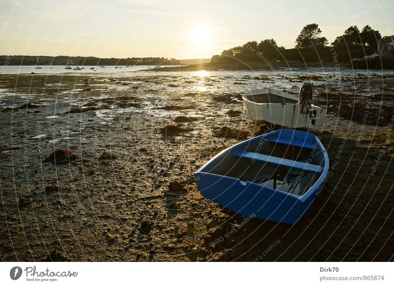 Hand-width water under the keel ... Sun Sunrise Sunset Sunlight Summer Beautiful weather Tree Coast Beach Bay Ocean Atlantic Ocean Brittany Fishing village