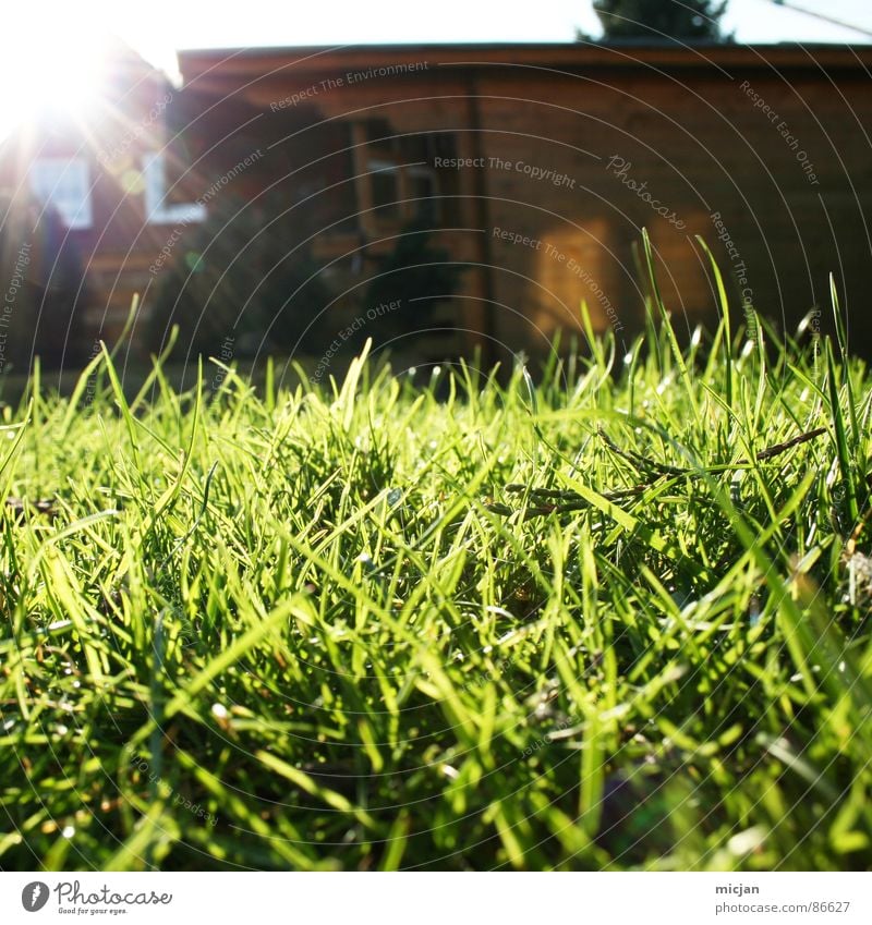 Welcome to the playground | EOS Hut Meadow Green Brown Light Sunbeam Dazzle Worm's-eye view Wooden hut Wooden house House (Residential Structure) Window Plant