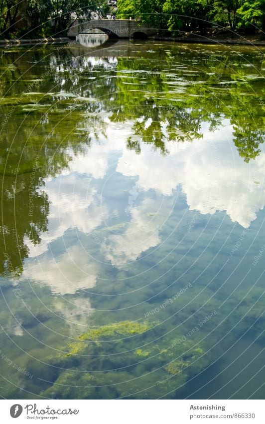 the bridge Environment Nature Landscape Plant Air Water Sky Clouds Summer Weather Beautiful weather Tree Bushes Park Pond Budapest Bridge Bright Wet Slimy Blue