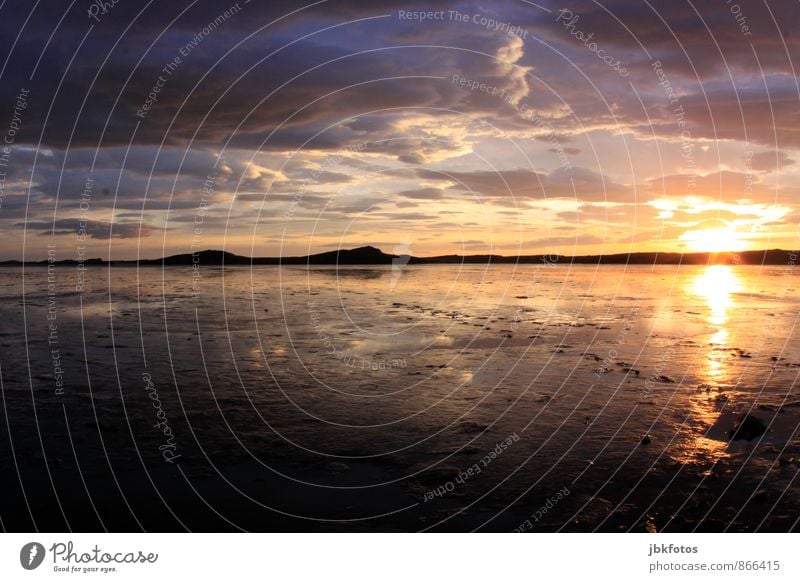 ICELAND / Borgarnes IV Environment Nature Landscape Plant Elements Water Sky Clouds Sun Sunrise Sunset Sunlight Summer Weather Beautiful weather Waves Coast