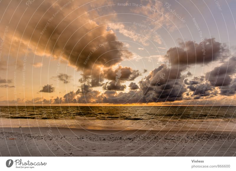 orange ... Nature Sky Clouds Sunrise Sunset Summer Beautiful weather Waves Coast Beach Bay North Sea Fantastic Romance Adventure Kitsch Denmark Deserted