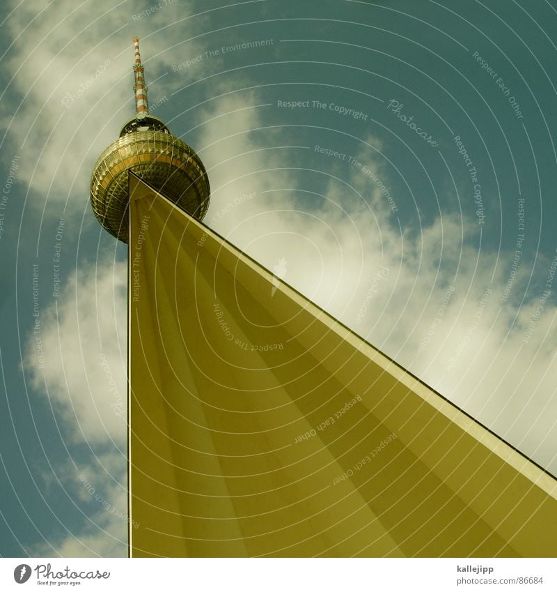 berlin chique II Chignon Woman`s head Lookout tower Tourist Pigeon Feather Art Alexanderplatz Antenna Elevator Transmitting station Landmark Middle Sky Funster