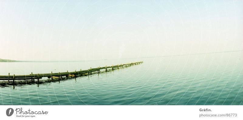 endless expanse Lake Ocean Pond Body of water Waves Wet Footbridge Seagull Bird Horizon Wood Jetty Green Environmental protection Infinity Panorama (View)