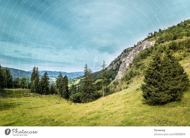 View into the valley Nature Landscape Plant Clouds Summer Weather Alps Mountain Allgäu Allgäu Alps Blue Green Calm Pasture Fir tree Rock Colour photo