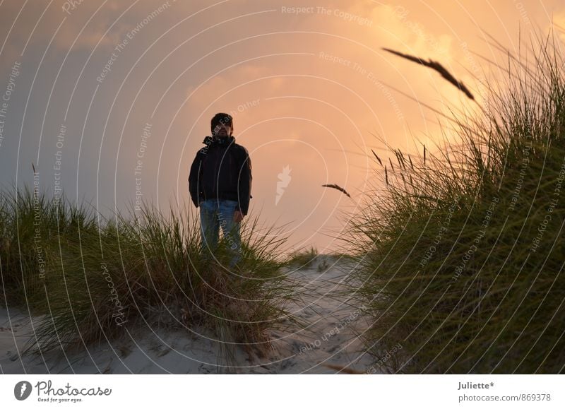 amrum Masculine Man Adults 1 Human being 30 - 45 years Nature Landscape Earth Sand Sky Clouds Night sky Sunrise Sunset Sunlight Summer Beautiful weather Wind