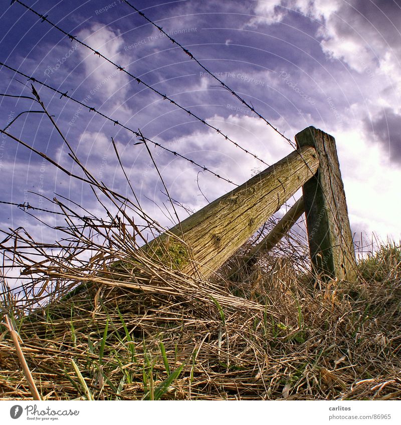 In March the farmer ... Spring Plant Field Pasture fence Diagonal Wire Barbed wire Fence Worm's-eye view Grass Looking Border Edge Green Clouds outrigger Upward