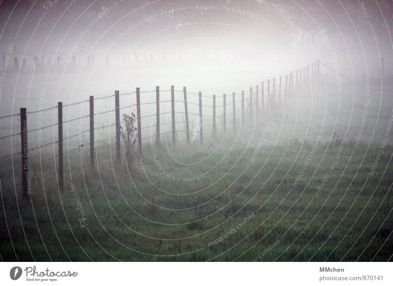 l l l l l l l l l l l Nature Fog Grass Meadow Field Deserted Sleep Faded Gray Green Sadness Loneliness Nostalgia Fence Pasture Landscape Colour photo