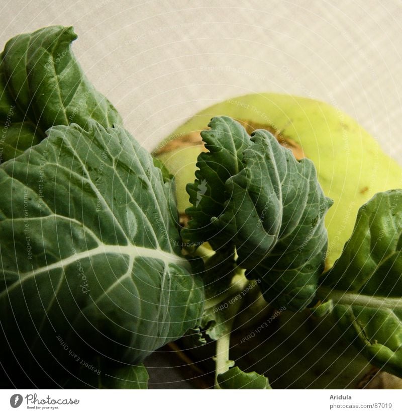 kohlrabi no.2 Kohlrabi Healthy Green Table Kitchen Nutrition Life Verdant Round Vegetable Vegetarian diet in shape