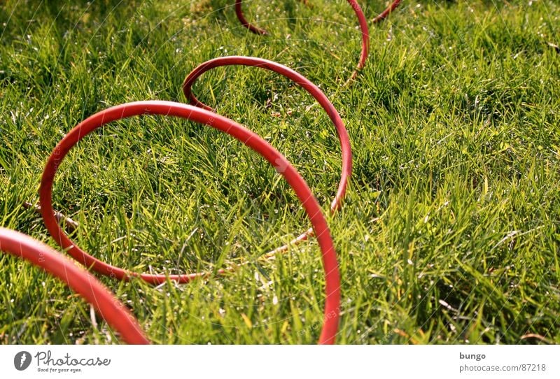 ... rollin', rollin', rollin'! Cable Grass Meadow Summer Spring Blade of grass Subsoil Electricity Arches National Park Jump Connection Communicate bow attach