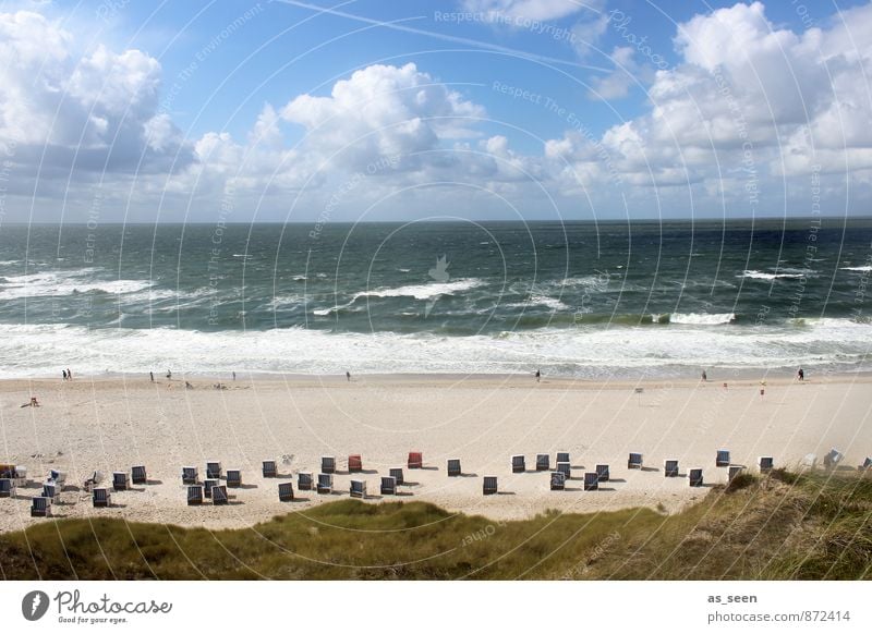 So close to heaven Human being Environment Nature Landscape Sand Air Water Sky Clouds Climate Beautiful weather Waves Coast North Sea Beach chair