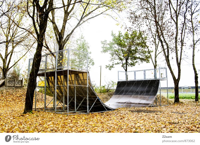 GAME R A U U M Funsport Ramp Sporting Complex Halfpipe Environment Nature Landscape Autumn Tree Bushes Leaf Park Hip & trendy Natural Calm Loneliness