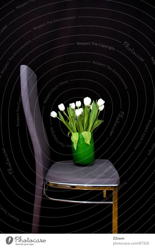 test Vase Flower Flower vase Green Containers and vessels Progress Stand Black Violet Velvet Things Attempt Pattern Chair Sit Simple Tilt