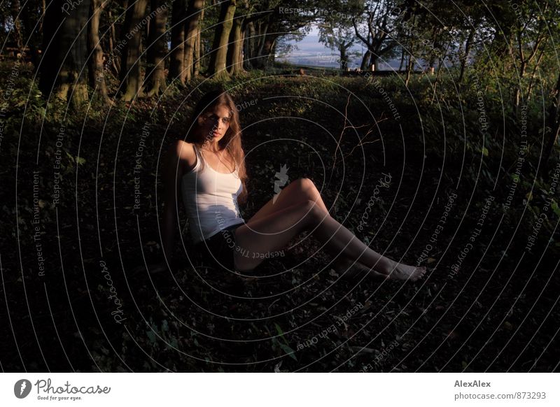 young, athletic, beautiful woman sits in the evening sun in a clearing in the forest Trip Adventure Young woman Youth (Young adults) Body Barefoot 18 - 30 years