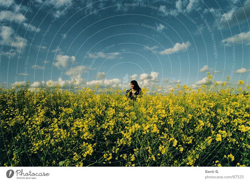 so far away Canola Yellow Dive Canola field Sky blue Clouds Bad weather Woman Long-haired Cardigan Green Summer disappear Human being joung miss Canopy (sky)