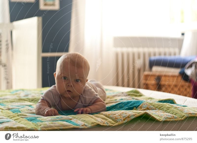 Baby on the bed Human being Feminine Infancy Body Head Face 1 0 - 12 months Crawl Lie Discover Colour photo Interior shot Copy Space right Day Light