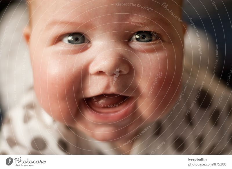 Cheeks Feminine Baby Infancy Head Face 1 Human being 0 - 12 months Crawl Smiling Laughter Happiness Happy Joy Sympathy Colour photo Interior shot Close-up Day