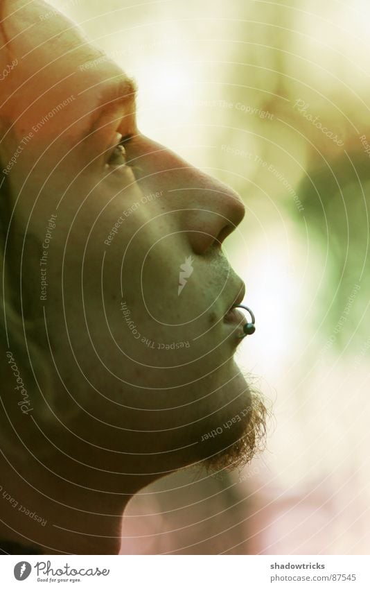 untitled Wrinkles Friendliness Forest-dweller Love of nature Portrait photograph Dreadlocks Forehead Facial hair Depth of field Clearing Nostril Light Close-up