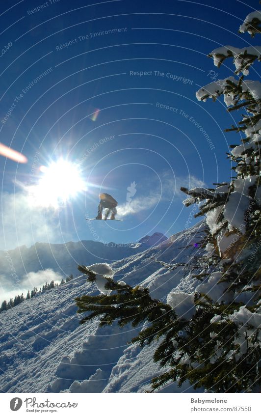 leap to freedom Winter sun Fir tree Powder snow White Snow Freedom Snowboarder Snowboarding Freestyle Sunbeam Back-light Posture Tall far Brave Deep snow Slope