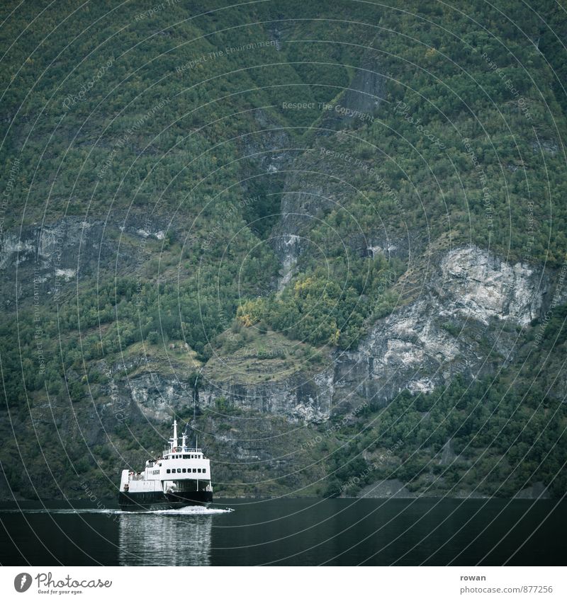 ship Hill Rock Mountain Coast Bay Fjord Ocean Navigation Cruise Boating trip Passenger ship Cruise liner Green Norway Colour photo Exterior shot Deserted