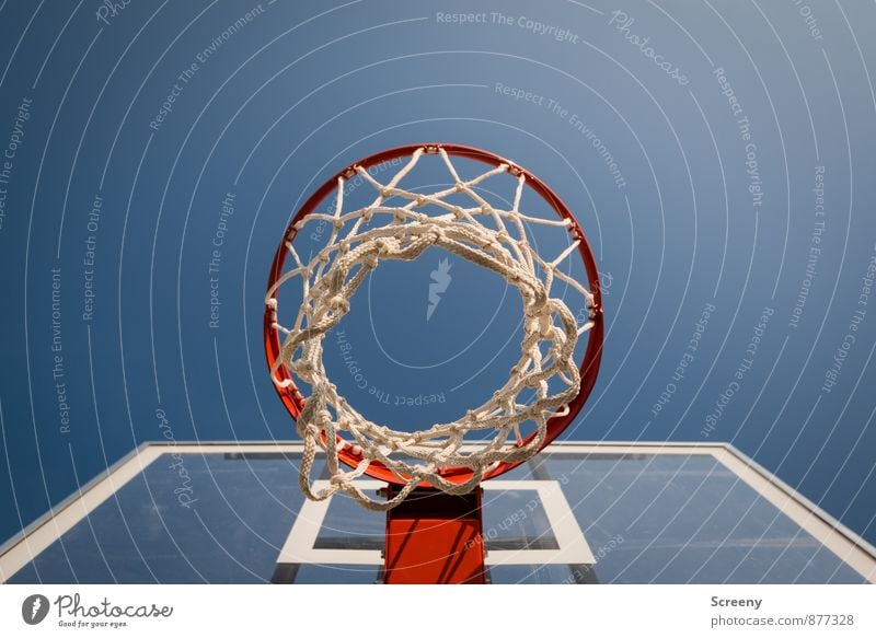 Under the basket | UT Cologne Sports Ball sports Basketball Basketball basket Sporting Complex Basketball arena Sky Cloudless sky Sharp-edged Tall Round Blue