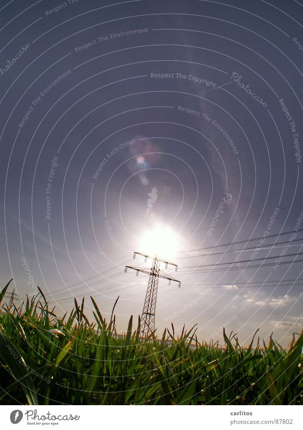 Solar energy | CO2 Solar Power Ecological Subsidy Near and Middle East Electricity pylon Overhead line Energy industry Short-circuit Back-light Dazzle Grass