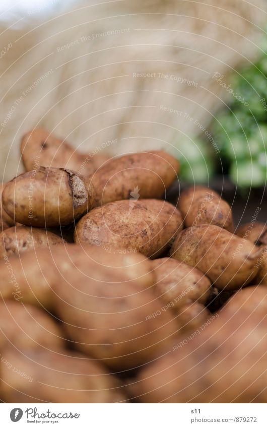 fresh potatoes Food Vegetable Potatoes Nutrition Organic produce Vegetarian diet Nature Dirty Authentic Exotic Healthy Delicious Round Brown Crisps French fries