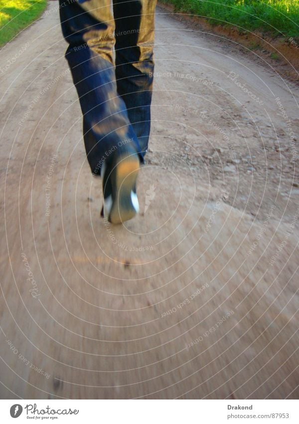 curro Hiking Field Traffic lane Flower Pants Footwear Air to go for a walk around Stone Cordoba freedom to cross. the sun spain way path flowers stones Freedom