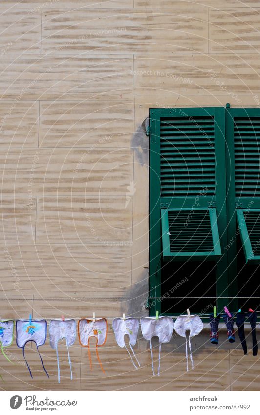 Monday, Tuesday, Wednesday, Thursday .... Laundry day! Bib Clothesline Wall (building) Facade Shutter Italy Southern Europe Summer Stockings Clothes peg Green