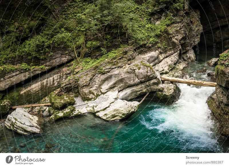 In the gorge #2 Vacation & Travel Tourism Trip Nature Landscape Plant Water Summer Bushes Moss Rock Alps Mountain Allgäu Alps Canyon Breitach Gorge Hiking Wet