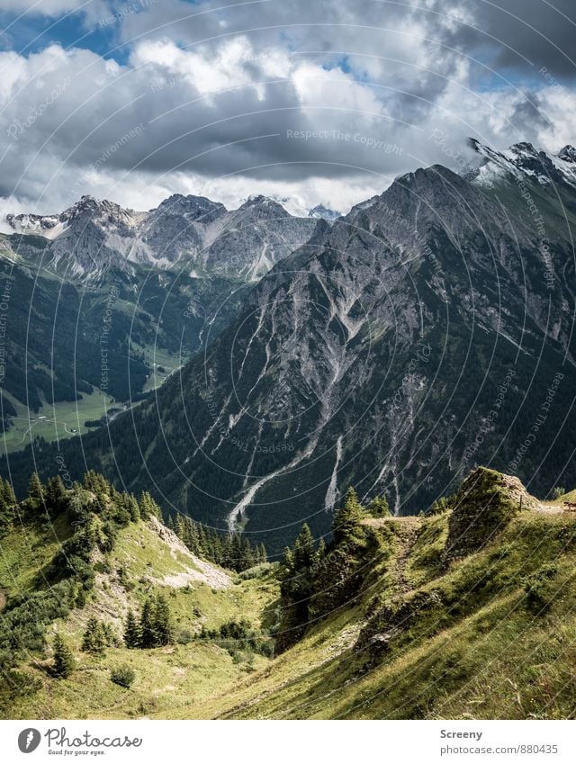 View from the Walmendinger Horn Vacation & Travel Tourism Adventure Far-off places Summer Mountain Hiking Nature Landscape Plant Sky Clouds Weather Rock Alps