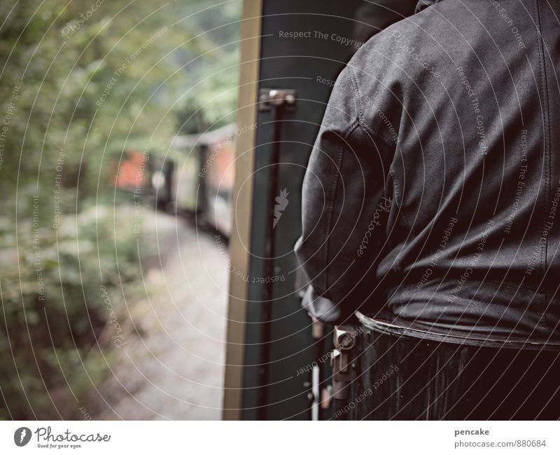 black driver Masculine Back 1 Human being Landscape Summer Tree Bushes Transport Rail transport Railroad Passenger train Rail vehicle Ticket collector