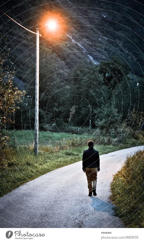 HOME WAY Pedestrian Street Dark Creepy Cold Lamp Street lighting To go for a walk Woman Curve Lamp post Country road Night Night life Loneliness Individual Home