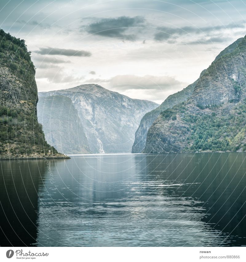 fjord Environment Nature Landscape Hill Rock Mountain Bay Fjord Green Norway Colour photo Exterior shot Deserted Copy Space bottom Day