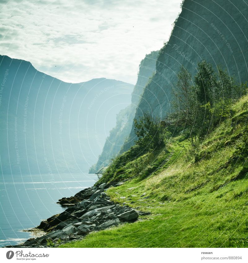 fjord Beautiful weather Forest Mountain Coast Bay Fjord Ocean Relaxation Norway Vacation in Norway Green Nature Landscape Idyll Calm Dramatic Colour photo