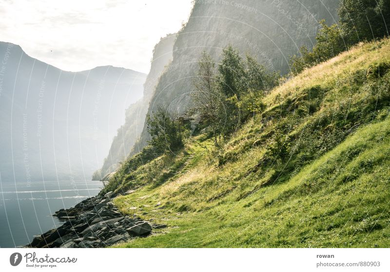 fjord Beautiful weather Bushes Rock Mountain Coast Lakeside Bay Fjord Green Norway Vacation in Norway Relaxation Nature Haze Hiking Meadow Colour photo