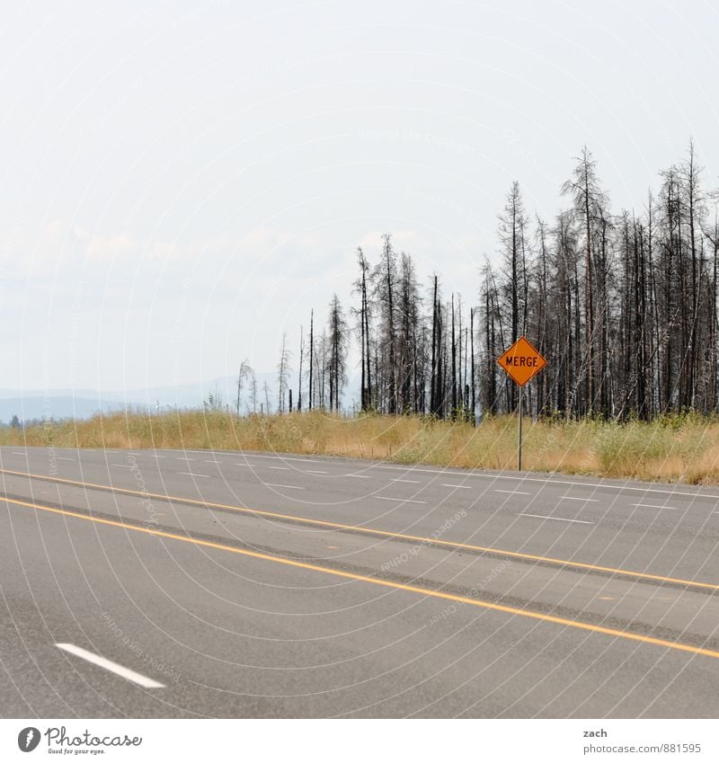 Hi, Way! Trip Far-off places Nature Sky Clouds Summer Autumn Tree Grass Bushes Canada North America Traffic infrastructure Road traffic Motoring Street