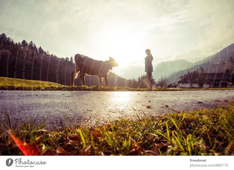 summit Human being Feminine Young woman Youth (Young adults) Woman Adults 1 Nature Landscape Sun Autumn Beautiful weather Hill Alps Mountain Peak Street Animal