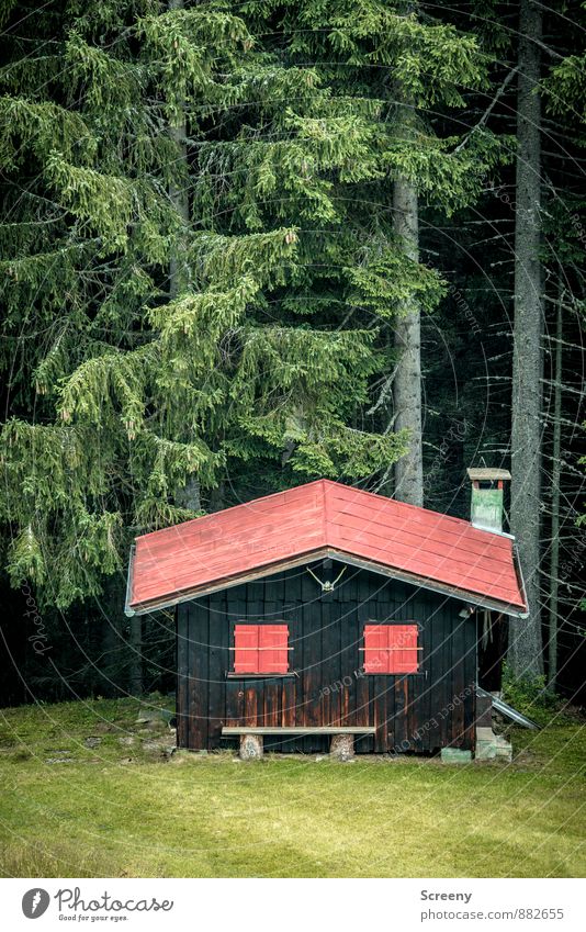 Hut party finished Vacation & Travel Tourism Trip Nature Landscape Summer Tree Forest Alps Mountain Allgäu Alps Building Window Roof Chimney Green Red Black