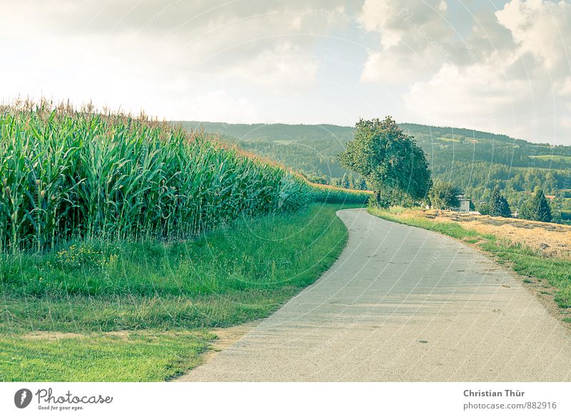 Wherever the road leads Wellness Harmonious Well-being Contentment Relaxation Calm Meditation Vacation & Travel Tourism Trip Summer Summer vacation Hiking