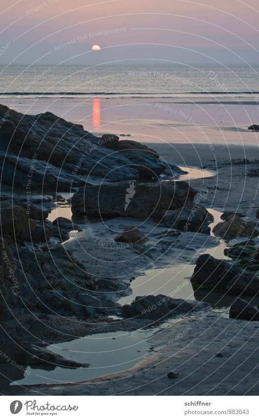 She'll be back, I'm sure! Environment Nature Landscape Rock Waves Coast Beach Bay Reef Ocean Violet Calm Grief Sadness Low tide Torrents of water Tide