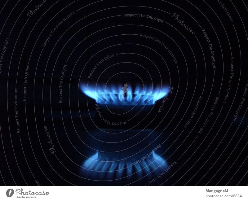 Gas flame II Stove & Oven Physics Electrical equipment Technology Flame blue flame Warmth Macro (Extreme close-up)