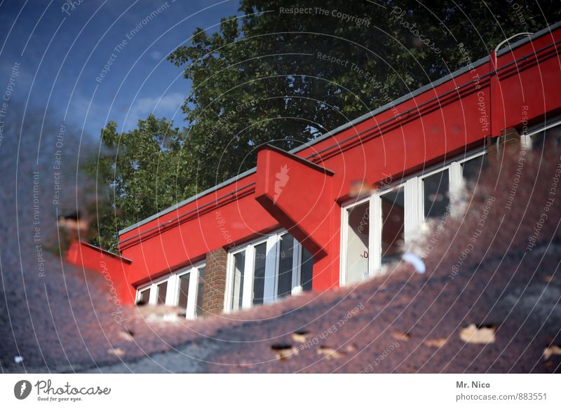 Cologne Puddle | UT Cologne Environment Water Sky Weather Beautiful weather Plant Tree Town House (Residential Structure) Industrial plant Building Architecture